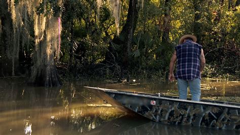 swamp people latest episode|More.